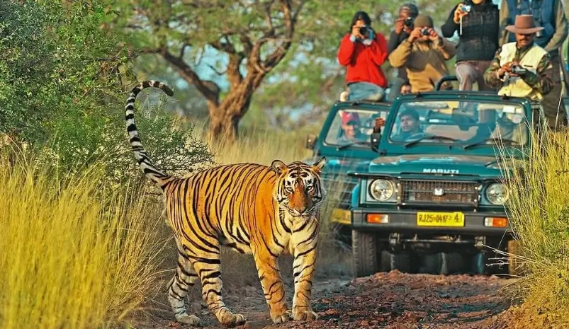 Ranthambore National Park
